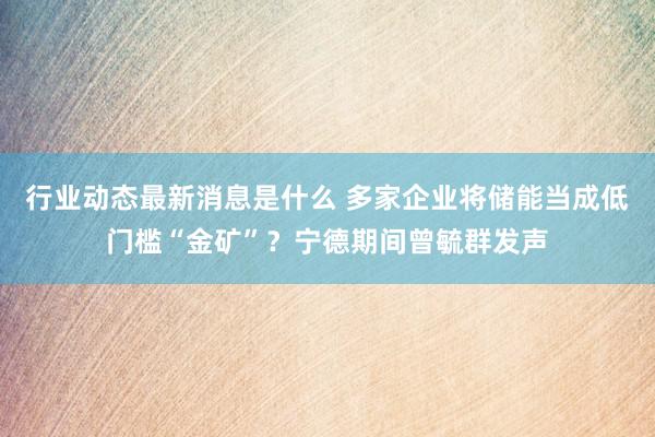 行业动态最新消息是什么 多家企业将储能当成低门槛“金矿”？宁德期间曾毓群发声