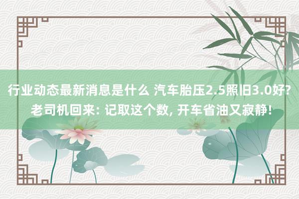 行业动态最新消息是什么 汽车胎压2.5照旧3.0好? 老司机回来: 记取这个数, 开车省油又寂静!