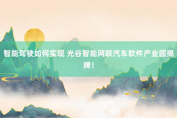 智能驾驶如何实现 光谷智能网联汽车软件产业园揭牌！