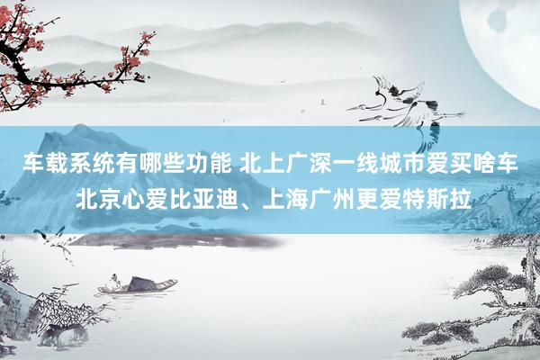 车载系统有哪些功能 北上广深一线城市爱买啥车 北京心爱比亚迪、上海广州更爱特斯拉