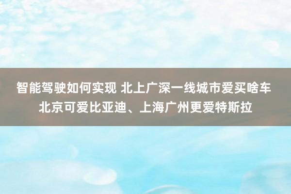 智能驾驶如何实现 北上广深一线城市爱买啥车 北京可爱比亚迪、上海广州更爱特斯拉