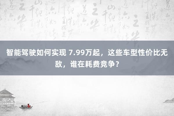 智能驾驶如何实现 7.99万起，这些车型性价比无敌，谁在耗费竞争？