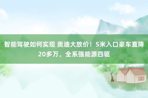 智能驾驶如何实现 奥迪大放价！5米入口豪车直降20多万，全系强能源四驱