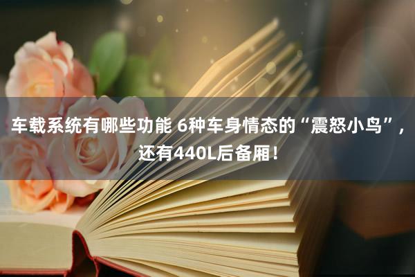 车载系统有哪些功能 6种车身情态的“震怒小鸟”，还有440L后备厢！