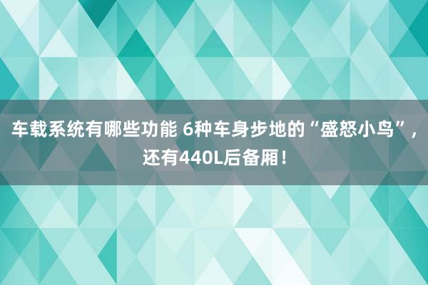 车载系统有哪些功能 6种车身步地的“盛怒小鸟”，还有440L后备厢！