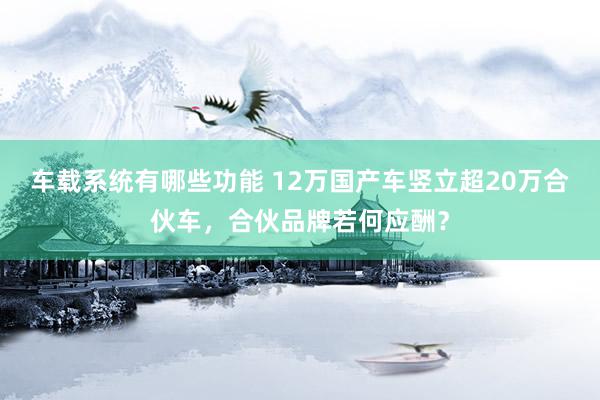 车载系统有哪些功能 12万国产车竖立超20万合伙车，合伙品牌若何应酬？