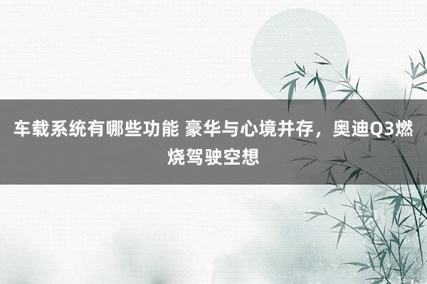 车载系统有哪些功能 豪华与心境并存，奥迪Q3燃烧驾驶空想