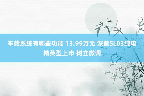 车载系统有哪些功能 13.99万元 深蓝SL03纯电精英型上市 树立微调