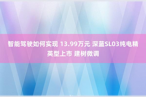 智能驾驶如何实现 13.99万元 深蓝SL03纯电精英型上市 建树微调