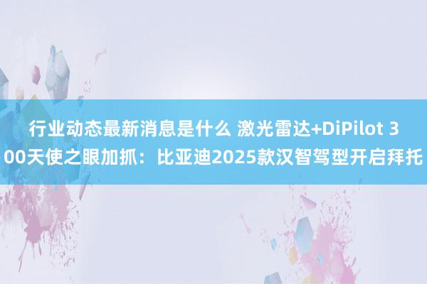 行业动态最新消息是什么 激光雷达+DiPilot 300天使之眼加抓：比亚迪2025款汉智驾型开启拜托