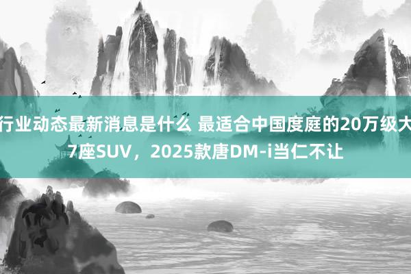 行业动态最新消息是什么 最适合中国度庭的20万级大7座SUV，2025款唐DM-i当仁不让