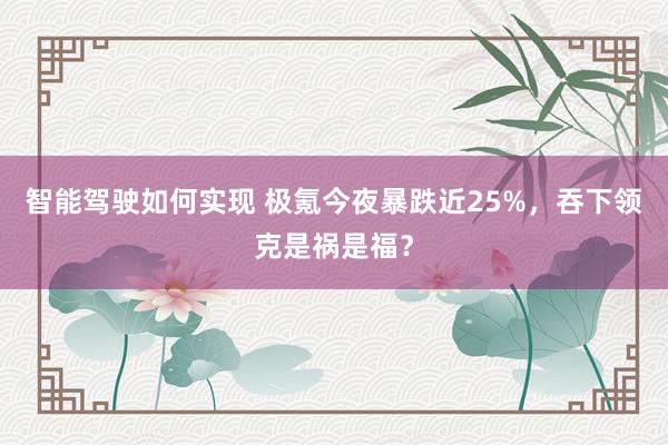 智能驾驶如何实现 极氪今夜暴跌近25%，吞下领克是祸是福？