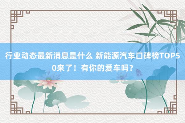 行业动态最新消息是什么 新能源汽车口碑榜TOP50来了！有你的爱车吗？