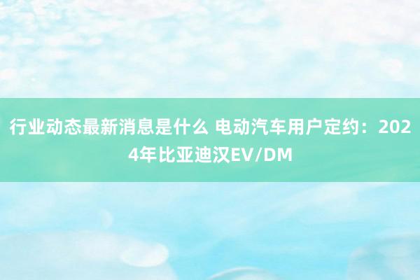 行业动态最新消息是什么 电动汽车用户定约：2024年比亚迪汉EV/DM