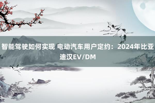 智能驾驶如何实现 电动汽车用户定约：2024年比亚迪汉EV/DM