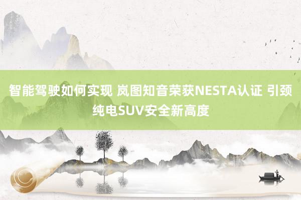 智能驾驶如何实现 岚图知音荣获NESTA认证 引颈纯电SUV安全新高度