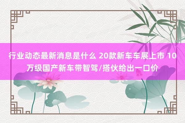 行业动态最新消息是什么 20款新车车展上市 10万级国产新车带智驾/搭伙给出一口价