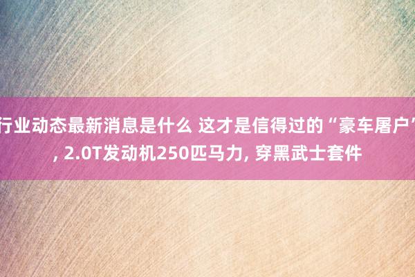 行业动态最新消息是什么 这才是信得过的“豪车屠户”, 2.0T发动机250匹马力, 穿黑武士套件