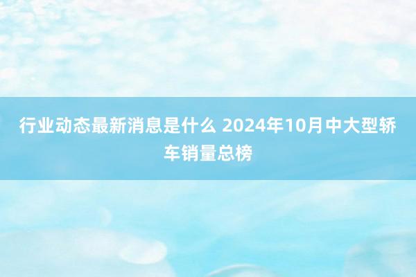 行业动态最新消息是什么 2024年10月中大型轿车销量总榜