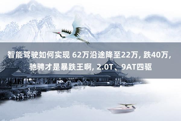 智能驾驶如何实现 62万沿途降至22万, 跌40万, 驰骋才是暴跌王啊, 2.0T、9AT四驱