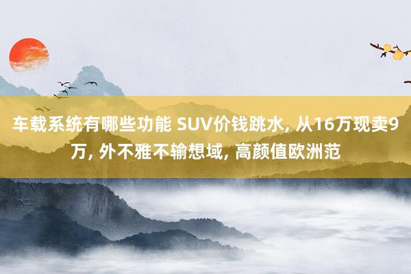 车载系统有哪些功能 SUV价钱跳水, 从16万现卖9万, 外不雅不输想域, 高颜值欧洲范