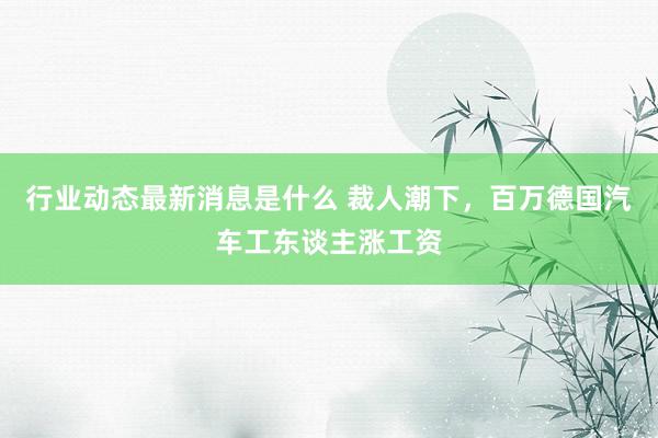 行业动态最新消息是什么 裁人潮下，百万德国汽车工东谈主涨工资