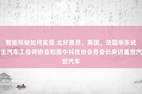 智能驾驶如何实现 北好意思、英国、法国华东说念主汽车工程师协会和奥中科技协会各会长来访盖世汽车