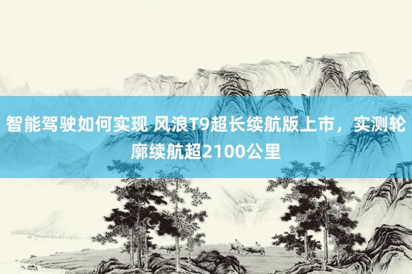 智能驾驶如何实现 风浪T9超长续航版上市，实测轮廓续航超2100公里