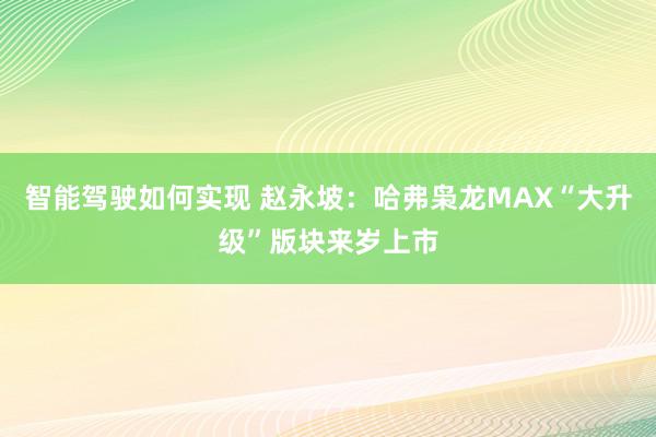 智能驾驶如何实现 赵永坡：哈弗枭龙MAX“大升级”版块来岁上市