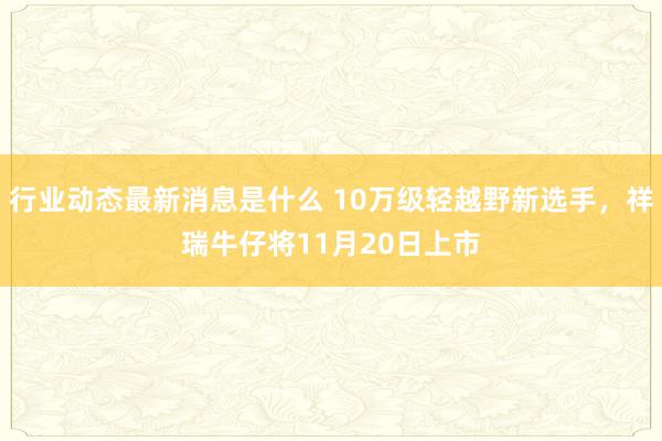 行业动态最新消息是什么 10万级轻越野新选手，祥瑞牛仔将11月20日上市