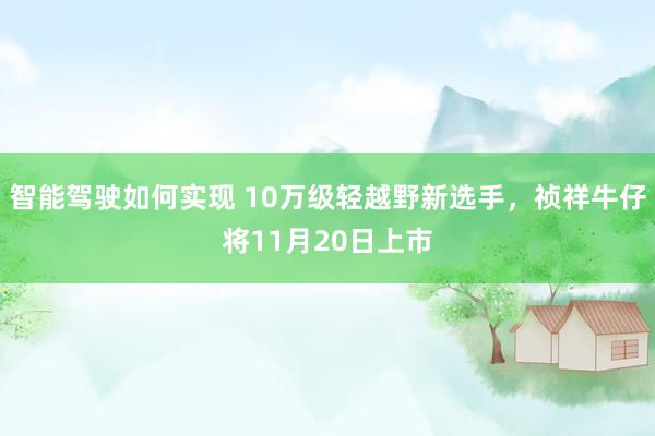 智能驾驶如何实现 10万级轻越野新选手，祯祥牛仔将11月20日上市