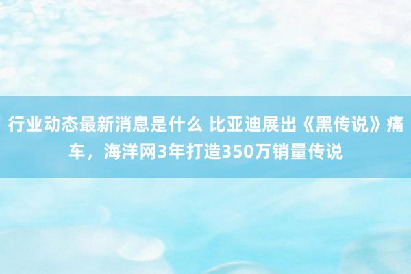 行业动态最新消息是什么 比亚迪展出《黑传说》痛车，海洋网3年打造350万销量传说