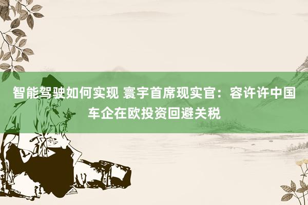 智能驾驶如何实现 寰宇首席现实官：容许许中国车企在欧投资回避关税