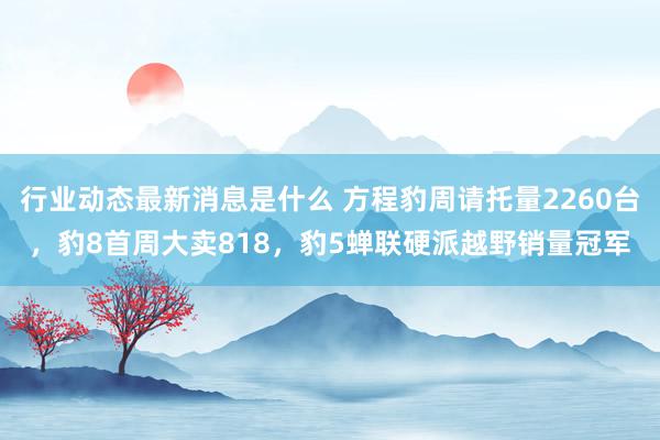 行业动态最新消息是什么 方程豹周请托量2260台，豹8首周大卖818，豹5蝉联硬派越野销量冠军