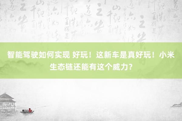 智能驾驶如何实现 好玩！这新车是真好玩！小米生态链还能有这个威力？