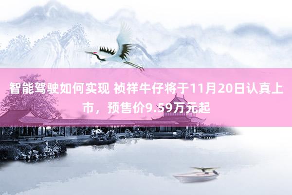 智能驾驶如何实现 祯祥牛仔将于11月20日认真上市，预售价9.59万元起